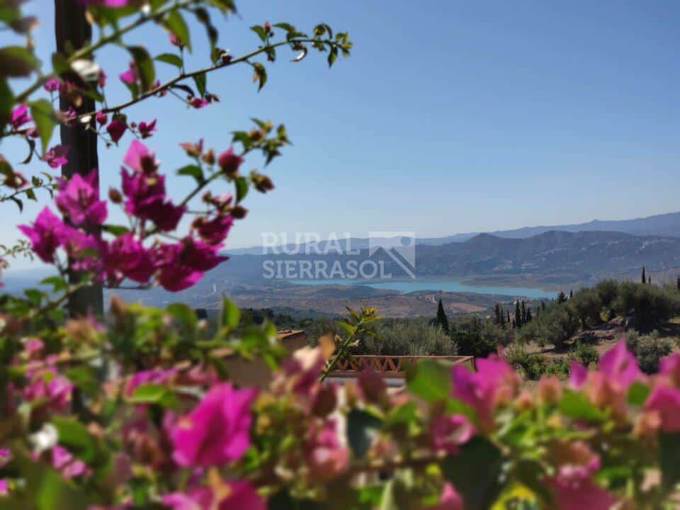 Vistas desde casa rural en Periana (Málaga) referencia 1086