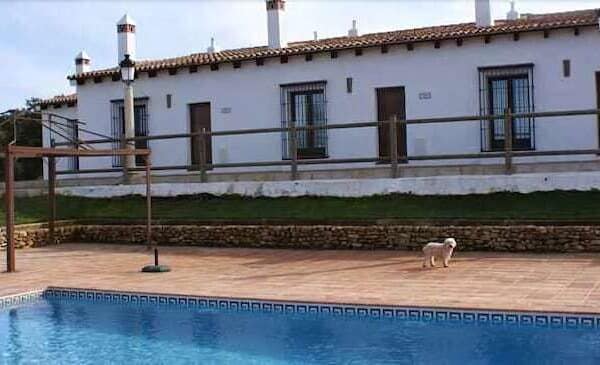 Piscina y fachada de Casa rural en Arcos de la Frontera (Cádiz)-1366