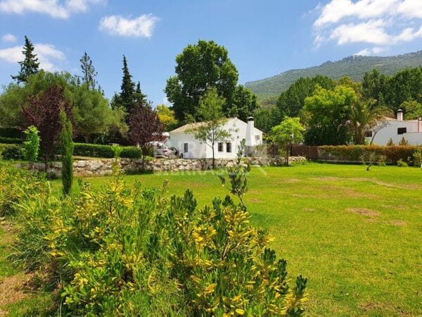 Casa rural en El Bosque (Cádiz)-571