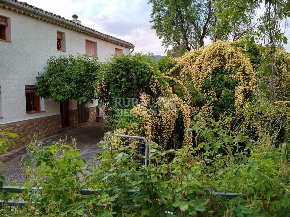 1. Casa rural en Hornos (Jaén)-331