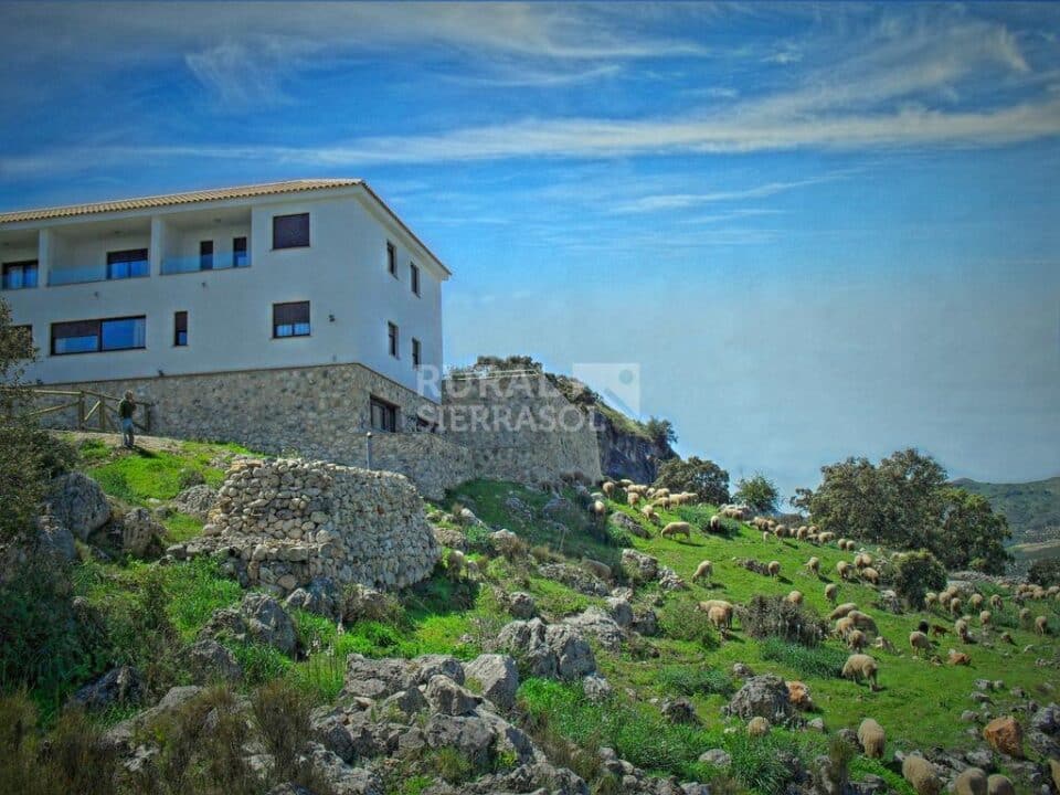 Maravilloso Estudio en Luque, con wifi y aire acondicionado - Imagen 31