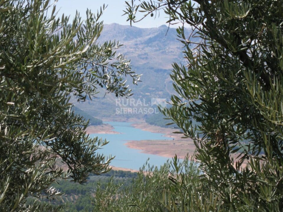 Acogedor Alojamiento Rural en plena Sierra de Segura - Imagen 45
