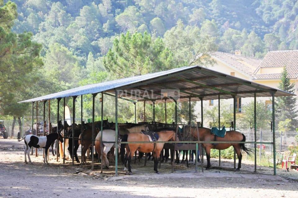 Magnífica Vivienda Rural junto al Parque Natural de la Sierra de Cazorla - Imagen 12