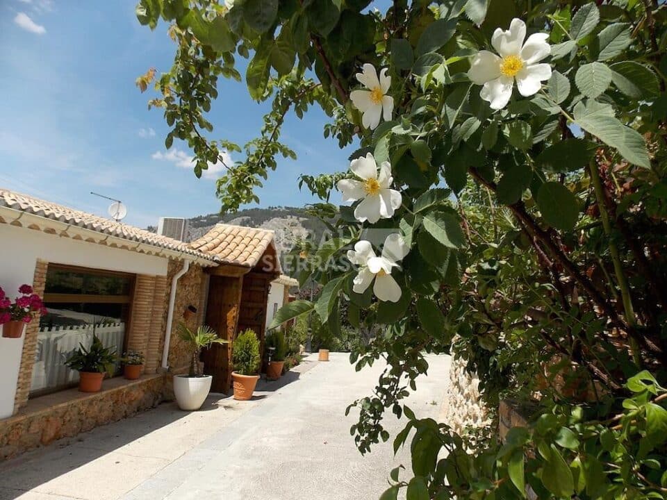 Hotel Rural junto al Parque Natural de Sierra Mágina - Imagen 73