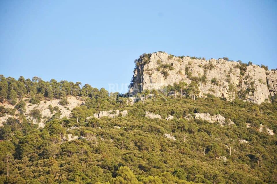Magnífica Vivienda Rural junto al Parque Natural de la Sierra de Cazorla - Imagen 13