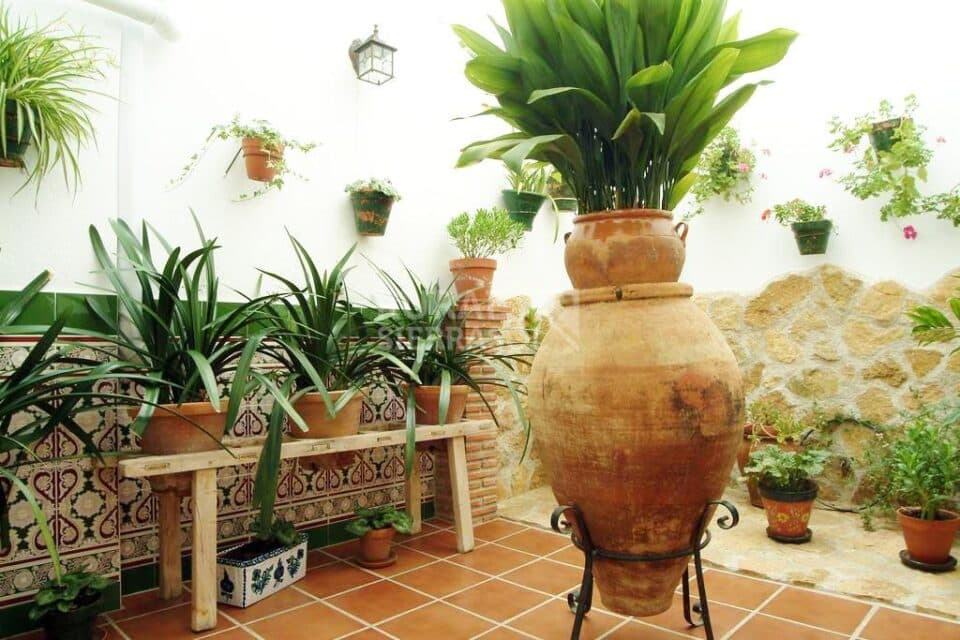 Coqueto Alojamiento Rural en Hinojares, con aire acondicionado y wifi - Imagen 13