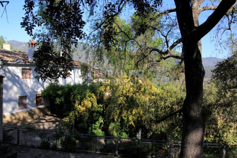 Coqueta Vivienda Rural en Hornos de Segura, con barbacoa y chimenea - Imagen 15