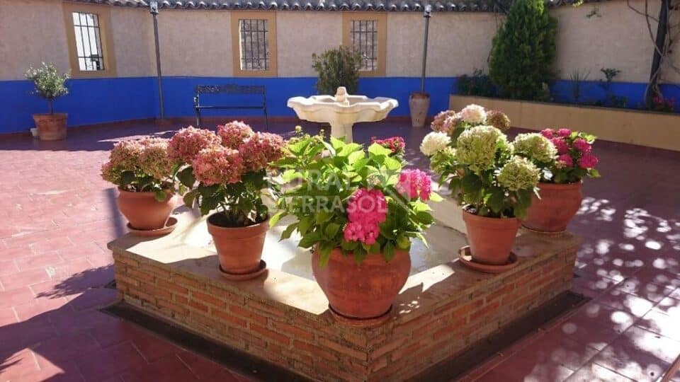Señorial Hotel Rural en la localidad renacentista de Sabiote - Imagen 12