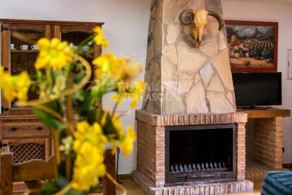Conjunto de tres Casas Rurales que se alquilan de forma conjunta, en plena Sierra de Cazorla - Imagen 14