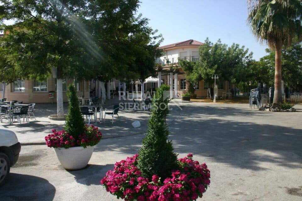Hotel Rural en Cabra, junto al Parque Natural de las Sierras Subbéticas - Imagen 19