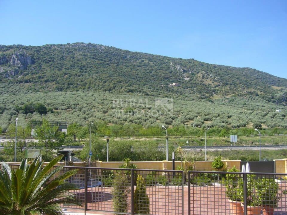 Hotel Rural de tres estrellas junto al Parque Natural de la Subbética - Imagen 57
