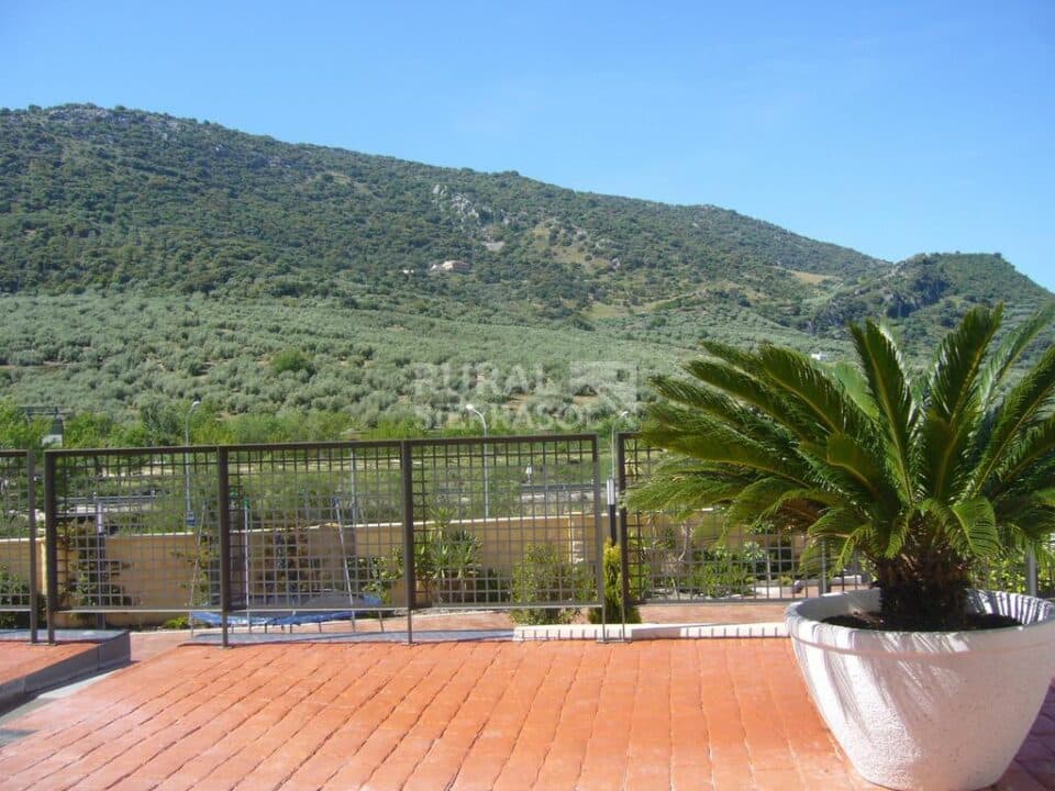 Hotel Rural de tres estrellas junto al Parque Natural de la Subbética - Imagen 60