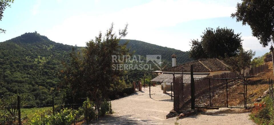 Maravillosa Casa Rural en Prado del Rey con piscina vallada y barbacoa - Imagen 25
