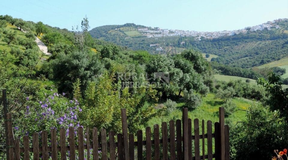 Maravillosa Casa Rural en Prado del Rey con piscina vallada y barbacoa - Imagen 27