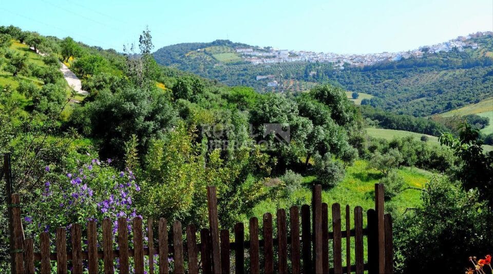 Maravillosa Casa Rural en Prado del Rey con piscina vallada y barbacoa - Imagen 43