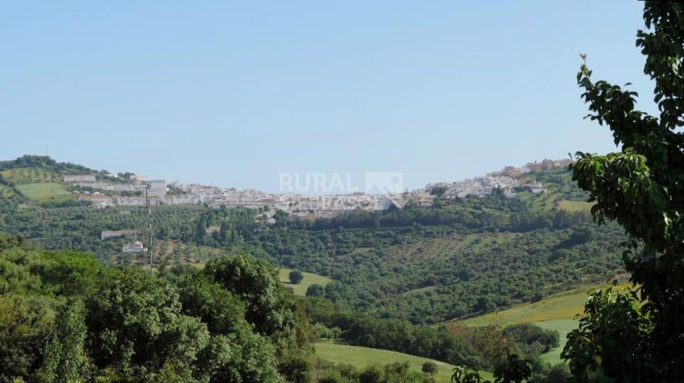 Maravillosa Casa Rural en Prado del Rey con piscina vallada y barbacoa - Imagen 49