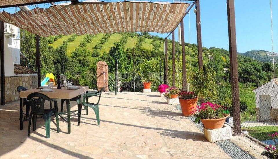 Maravillosa Casa Rural en Prado del Rey con piscina vallada y barbacoa - Imagen 60