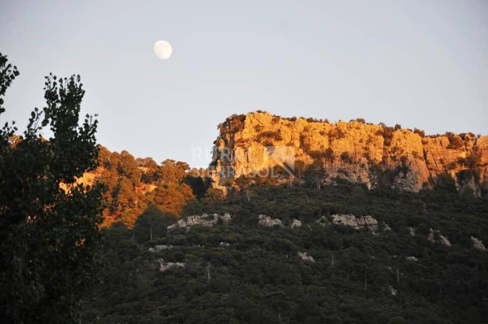 Magnífica Vivienda Rural junto al Parque Natural de la Sierra de Cazorla - Imagen 18