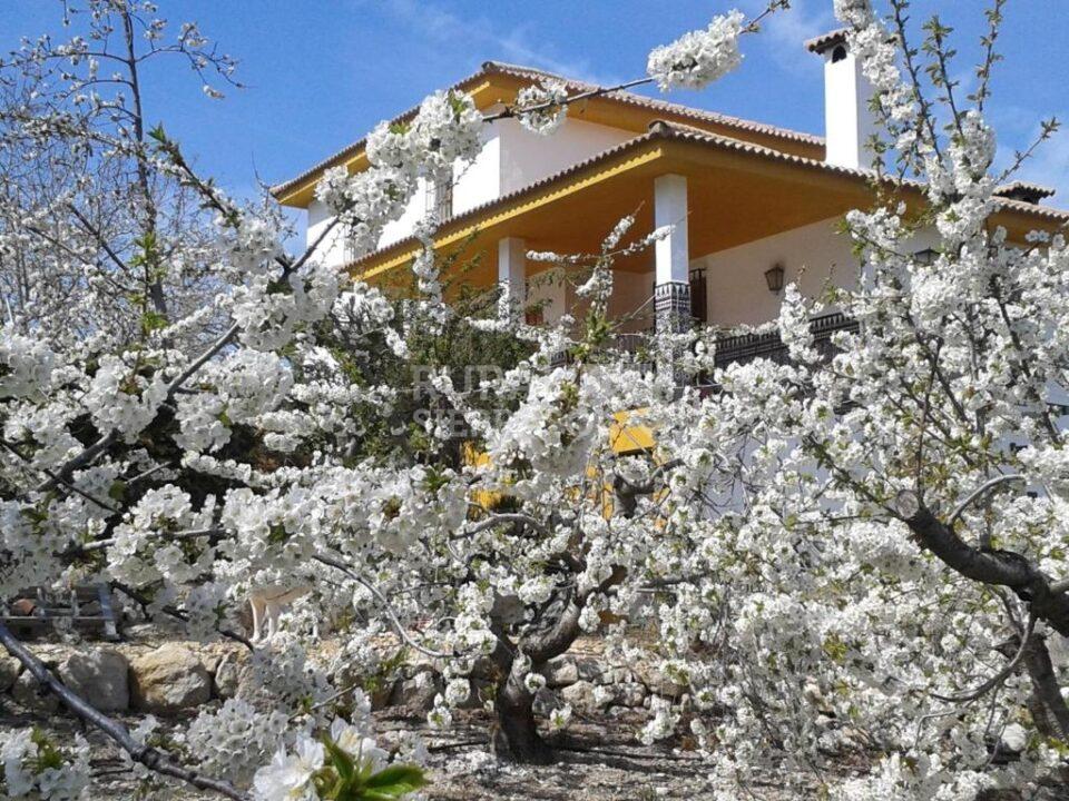 Preciosa Villa en Torres, con piscina y barbacoa - Imagen 18
