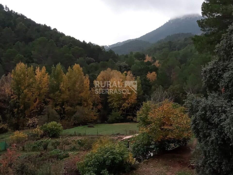 Preciosa Vivienda Rural en Siles, con piscina, barbacoa, aire acondicionado y wi-fi - Imagen 28