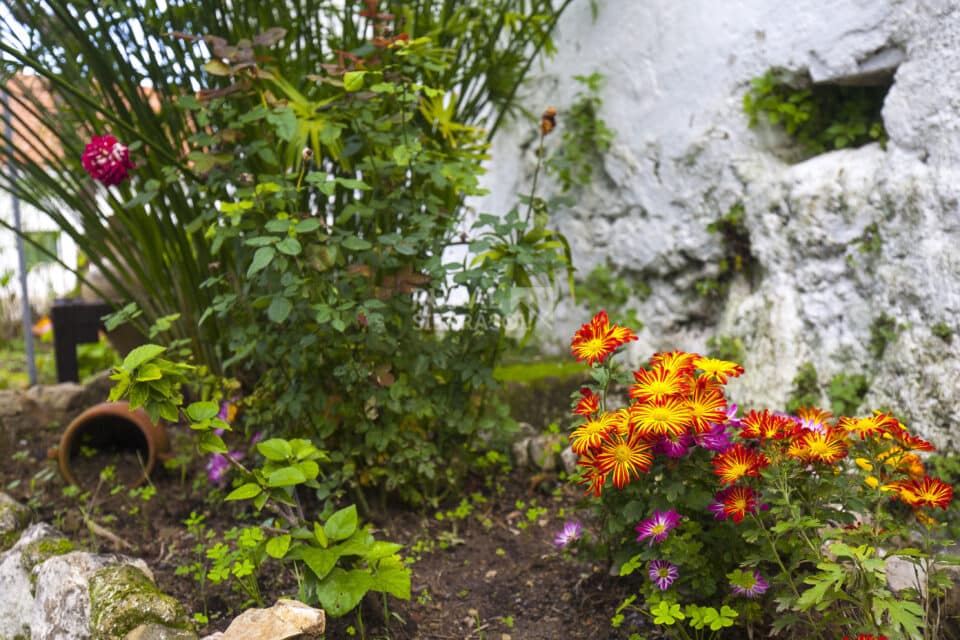 Casa Rural en El Bosque, con chimenea y barbacoa - Imagen 51