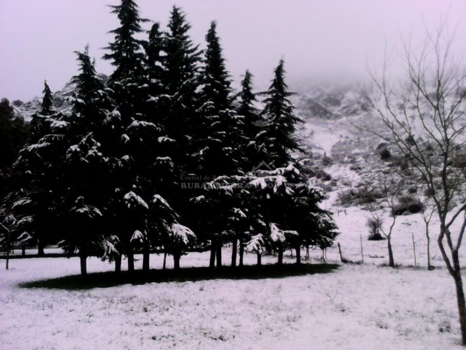 Conjunto Rural en Benaocaz, en pleno Parque Natural de la Sierra de Grazalema - Imagen 44