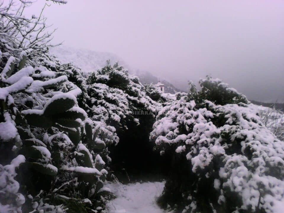 Conjunto Rural en Benaocaz, en pleno Parque Natural de la Sierra de Grazalema - Imagen 46