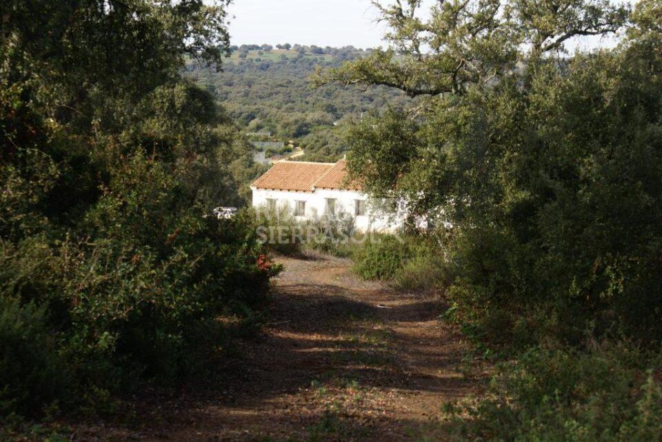Acogedora Casa Rural en Arcos de la Frontera, con piscina, chimenea y wifi - Imagen 23