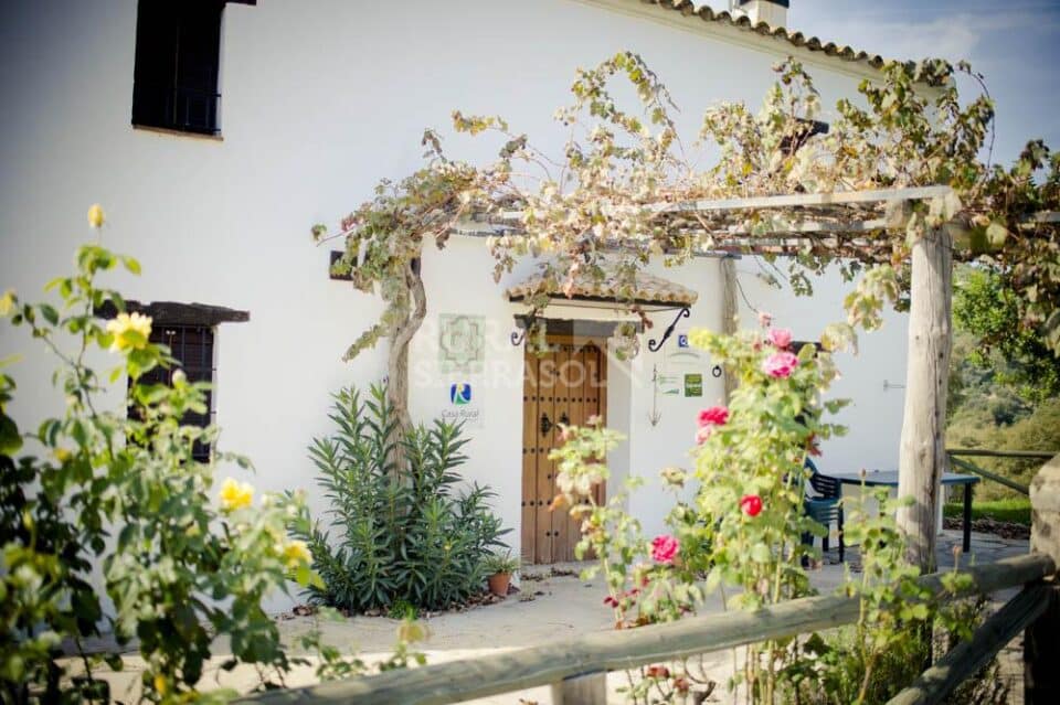 Casa rural en El Bosque con piscina privada, barbacoa y calefacción central - Imagen 3