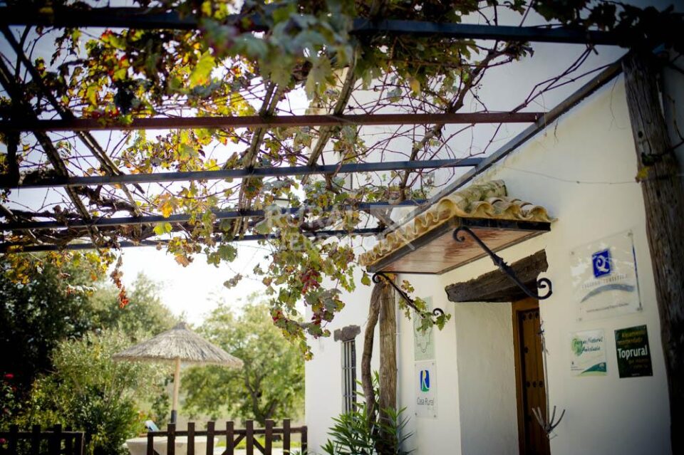 Casa rural en El Bosque con piscina privada, barbacoa y calefacción central - Imagen 12