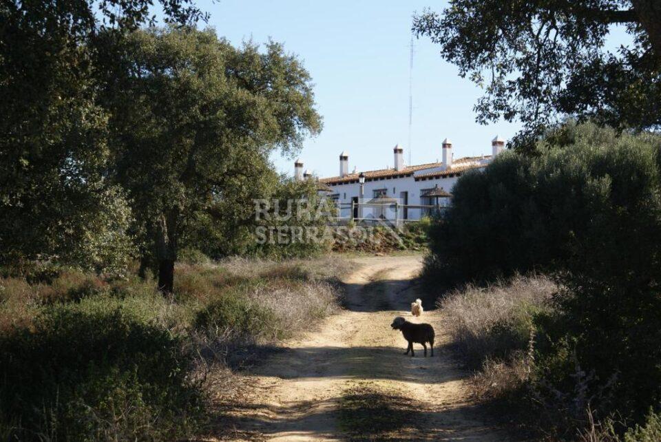 Acogedora Casa Rural en Arcos de la Frontera, con piscina, chimenea y wifi - Imagen 24