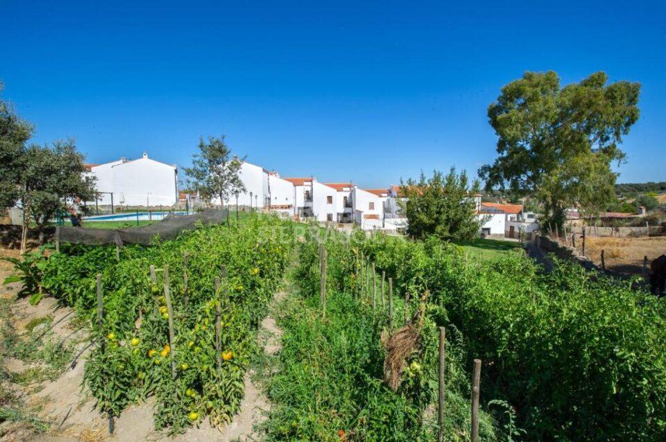 Espléndido Alojamiento Rural en Cardeña, con piscina, spa, chimenea - Imagen 28
