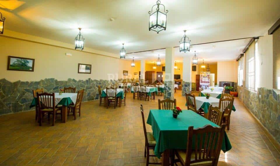 Precioso Alojamiento Rural en Cardeña, con piscina, aire acondicionado, spa - Imagen 22