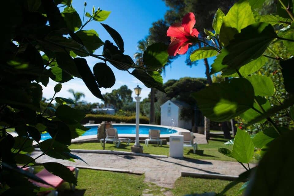 Casa tipo estudio en Conil de la Frontera cerca de la playa - Imagen 32