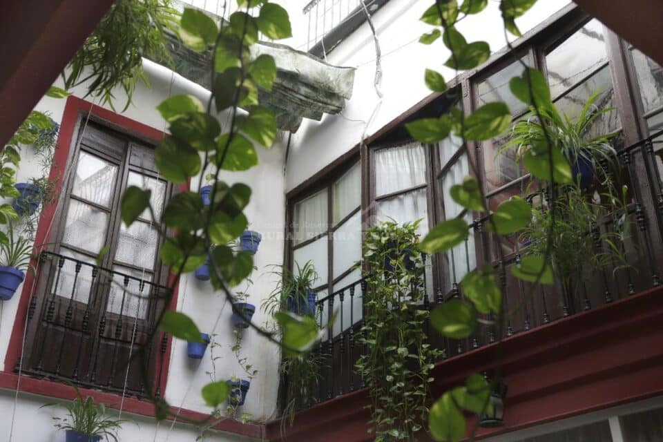 Pension Internacional - Imagen 26