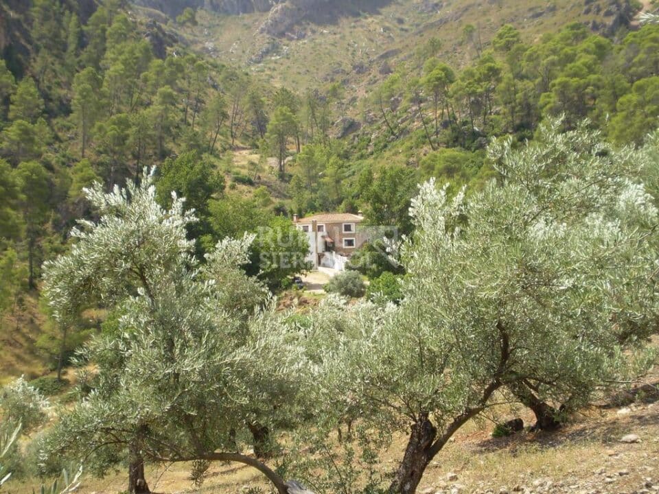Acogedor hotel rural situado en un entorno privilegiado - Imagen 32