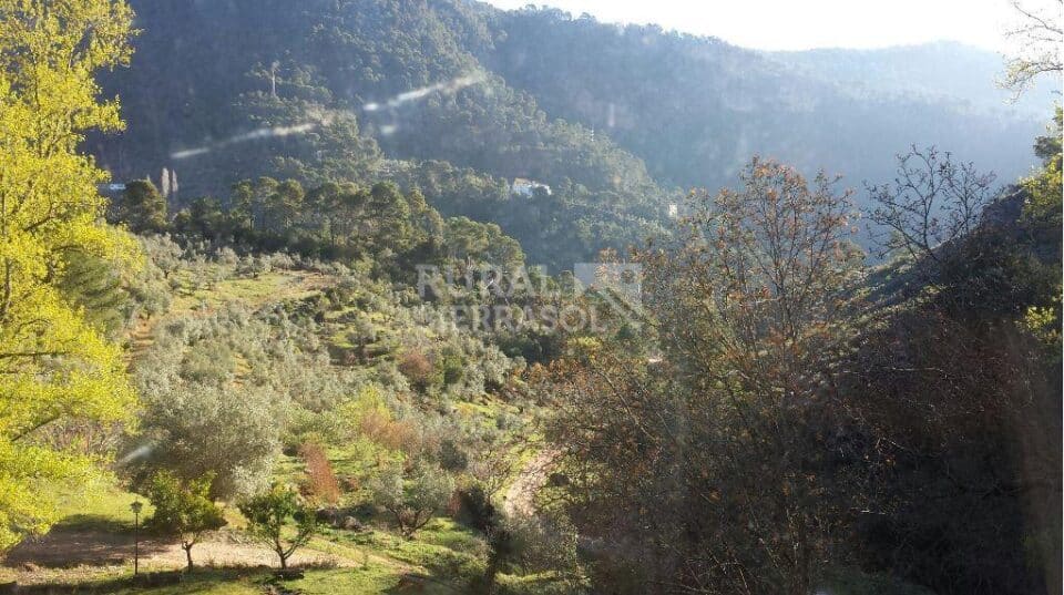 Acogedor hotel rural situado en un entorno privilegiado - Imagen 34