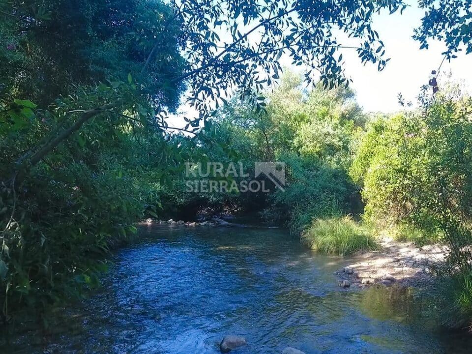 Amplio Apartamento Rural en La Ruta de los Pueblos Blancos de la Sierra de Cádiz - Imagen 32