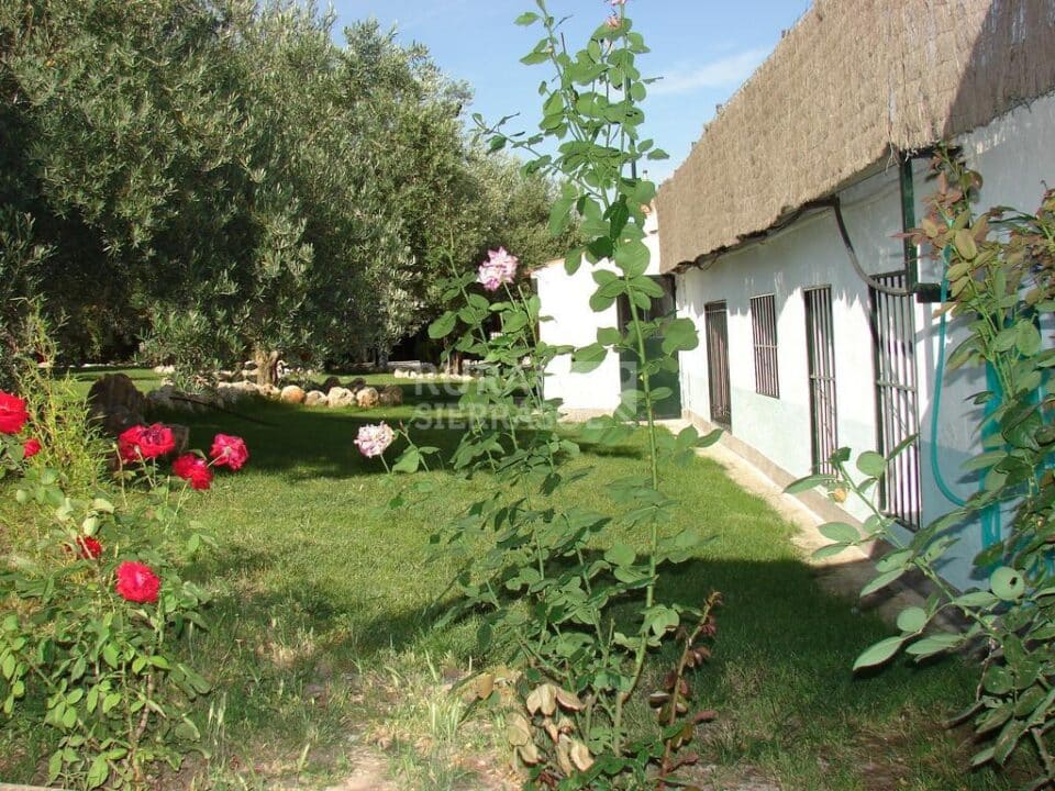 Magnífico Apartamento Rural en Luque, con piscina y wifi - Imagen 49