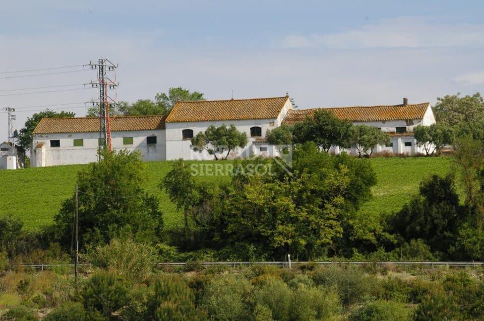 Señorial Cortijo en Jerez, con chimenea y barbacoa - Imagen 49