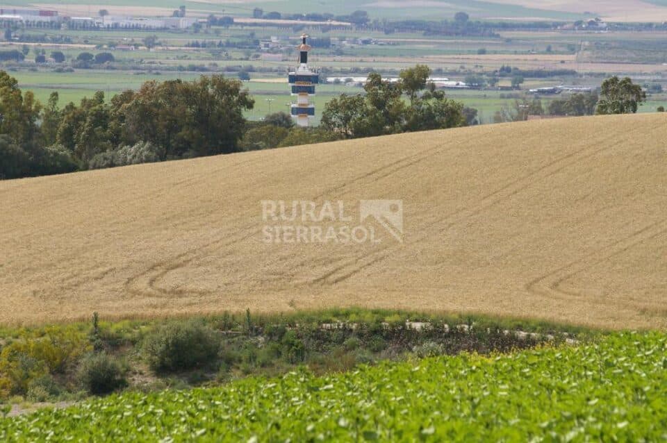 Señorial Cortijo en Jerez, con chimenea y barbacoa - Imagen 71