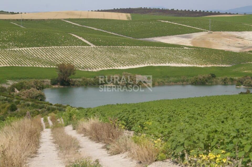 Señorial Cortijo en Jerez, con chimenea y barbacoa - Imagen 74