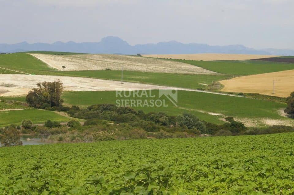 Señorial Cortijo en Jerez, con chimenea y barbacoa - Imagen 75