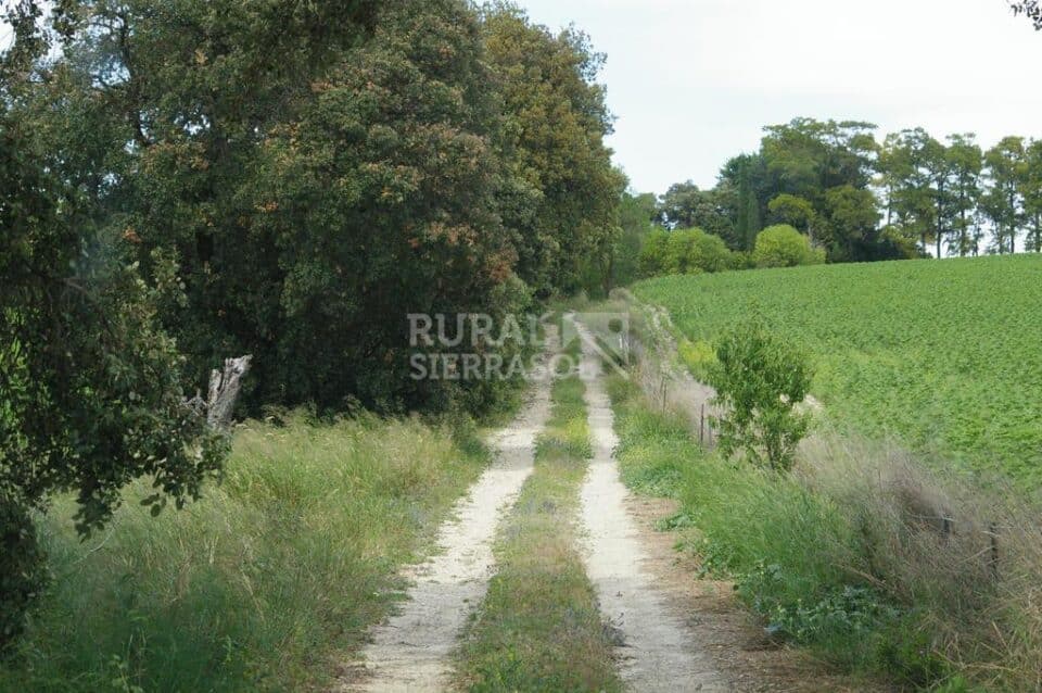 Señorial Cortijo en Jerez, con chimenea y barbacoa - Imagen 76
