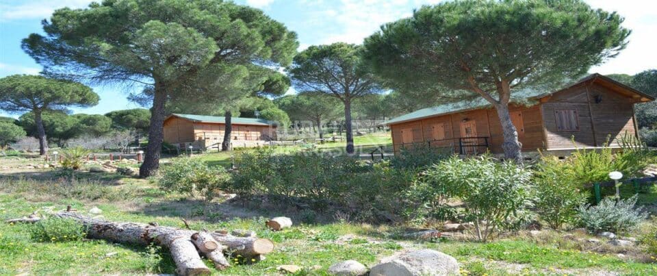 Acogedor Apartamento Rural en Sierra de Andújar, adaptado a personas con movilidad reducida - Imagen 30