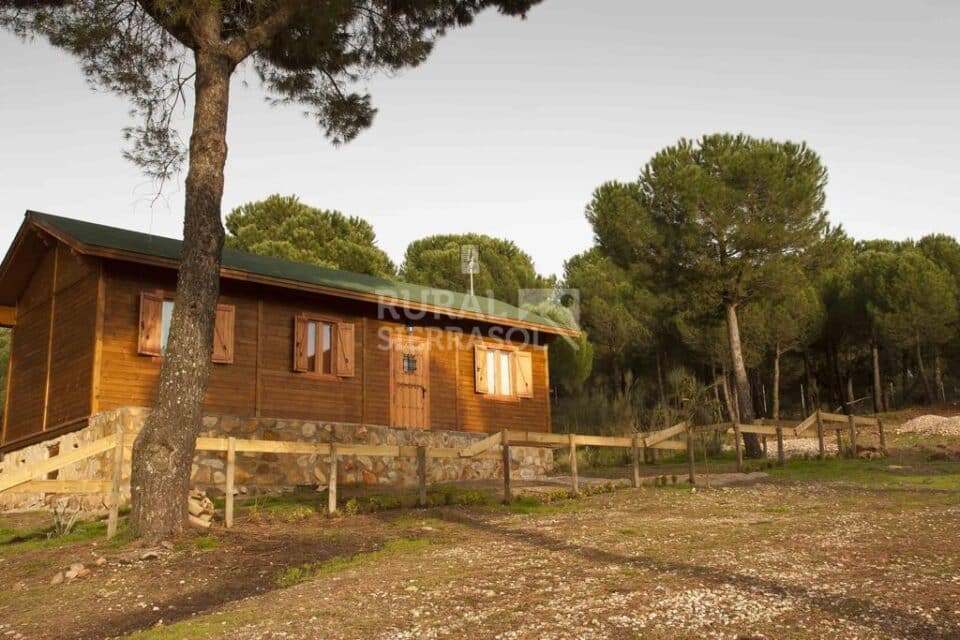 Acogedor Apartamento Rural en Sierra de Andújar, adaptado a personas con movilidad reducida - Imagen 33
