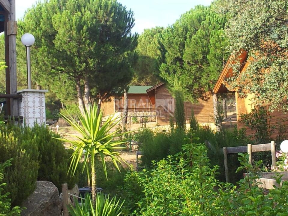 Precioso Apartamento Rural en plena Sierra de Andújar - Imagen 9
