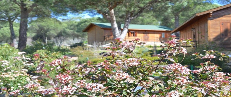Precioso Apartamento Rural en plena Sierra de Andújar - Imagen 11