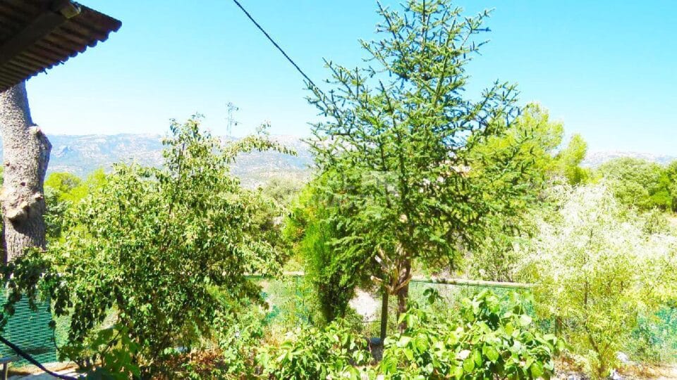 Acogedora Vivienda Rural en entorno maravilloso de la Sierra de Cazorla - Imagen 14