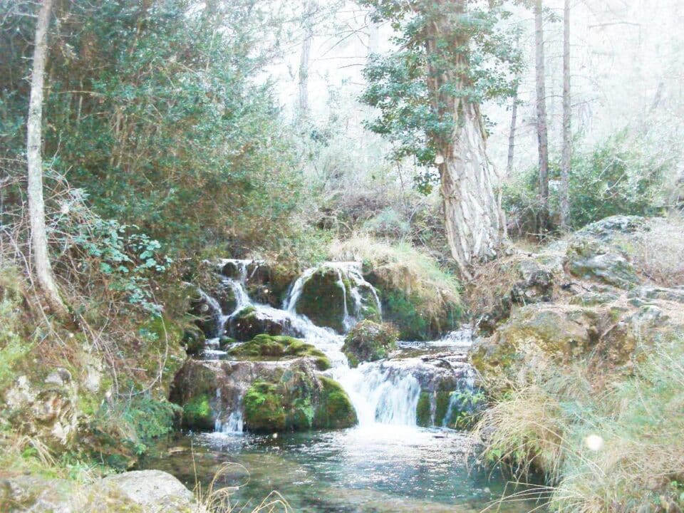 Acogedora Vivienda Rural en entorno maravilloso de la Sierra de Cazorla - Imagen 30